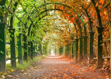 effects of changing seasons on chronic pain